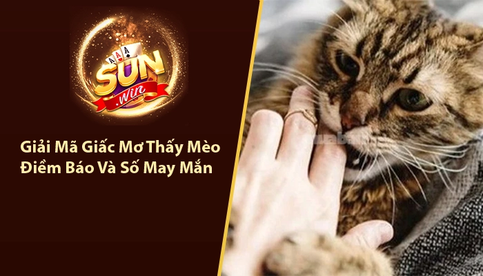 Giải mã giấc mơ thấy Mèo
